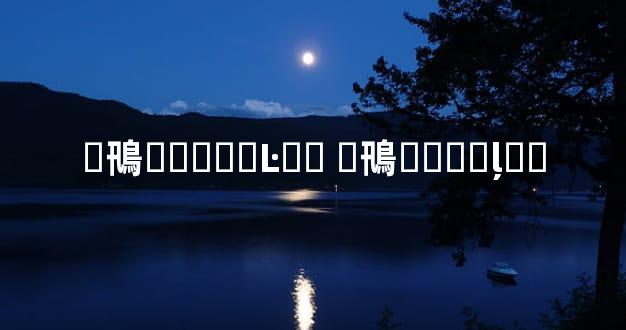 �鳵���޼�Ŀ�� �鳵���޵ļ۸�